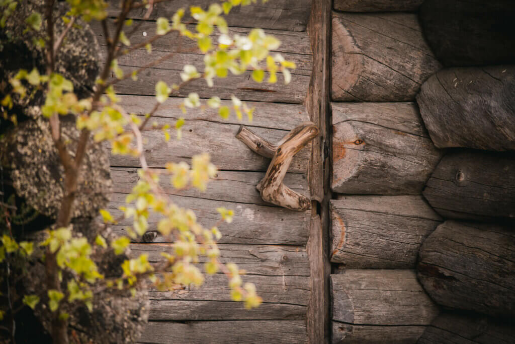 Turvekammi Maahinen